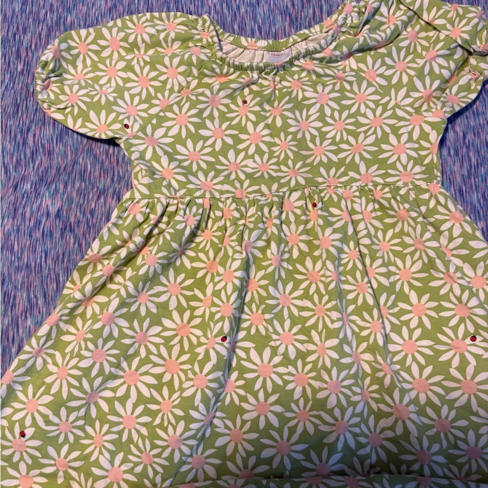 Hanna Andersson Green Dress with Pink and White Floral Pattern